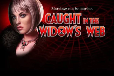10007 caught in the widows web